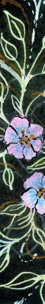 Alexis Design | About Alexis and my Website