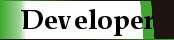 Web Development Services