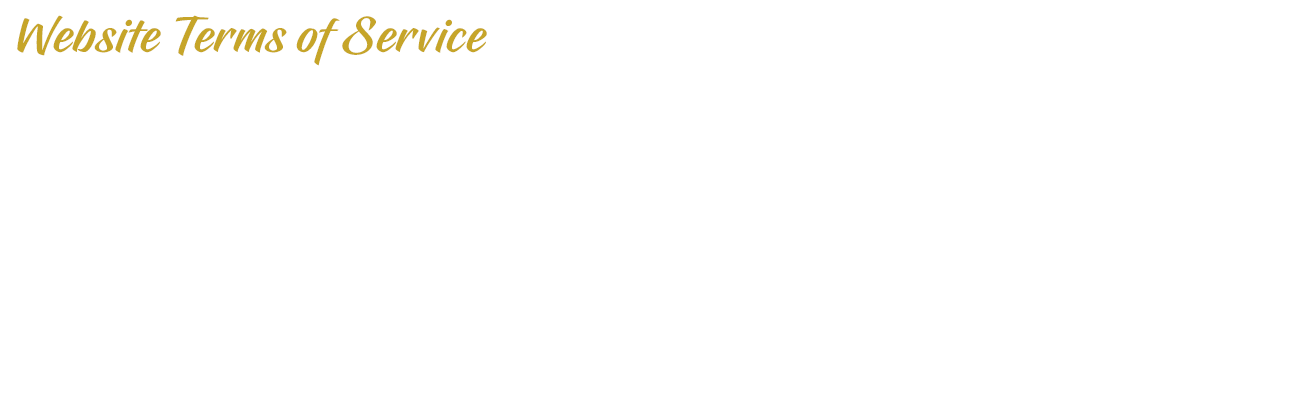 Website Terms of Service | Overlay | D.G. Transportation Limousine Service