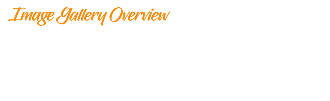 Image Gallery Overview | Overlay | JEM Contracting | Residential and Commercial Renovations